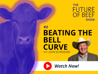 2. Beating the bell curve artwork 400 x 300