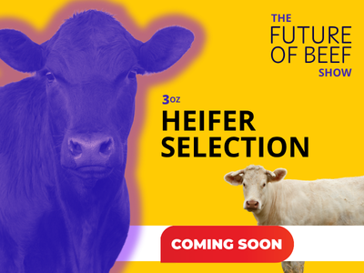 3oz heifer selection (COMING SOON) artwork 400 x 300