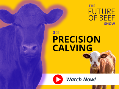 3oz precision calving artwork 400 x 300
