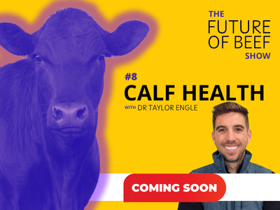 8. Calf health (COMING SOON) artwork 400 x 300