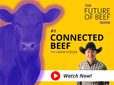 FOB (400X300) Episode artwork 1. Connected Beef