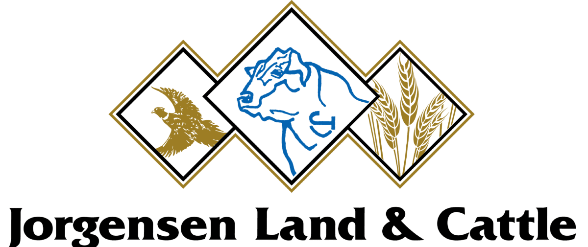 JORG_L_and_C_logo